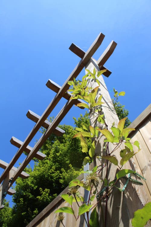 Pergola bois