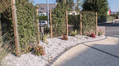 Structure plante grimpante