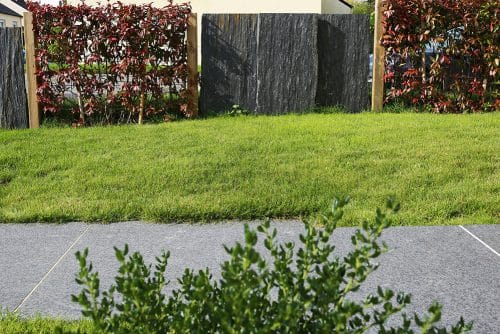 Clôture végétale avec palis schiste