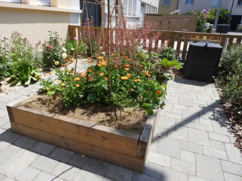 Bac potager en bois