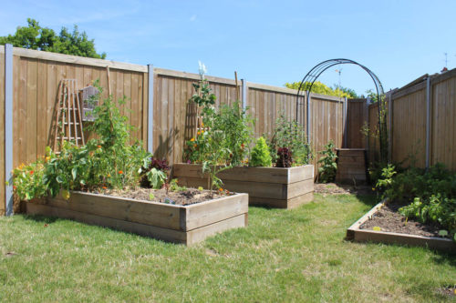 Bac potager en bois