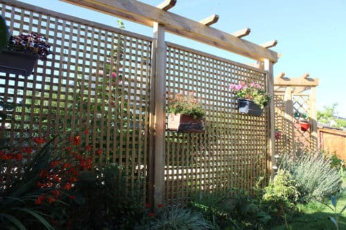 Pergola bois brise-vues avec massif végétale
