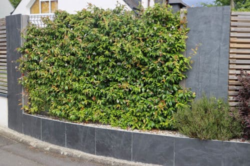 Clôture alternée avec panneaux bois, des palis d'ardoise et végétale