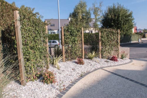 Structures en bois avec des jasmins