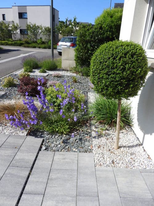 Massif avec un arbuste taillé en boule