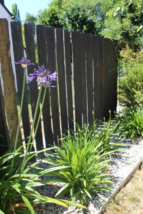 Clôture avec des piquets de schiste et un massif d'agapanthes