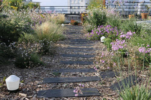 Allée en palis de schiste