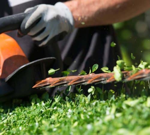 Crédit d’impôts jardinier – Service à la personne