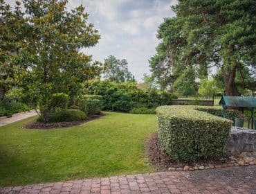 un gazon entretenu par un jardinier paysagiste