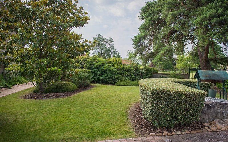 un gazon entretenu par un jardinier paysagiste