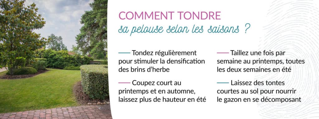 conseils pour bien tondre son gazon selon les saisons
