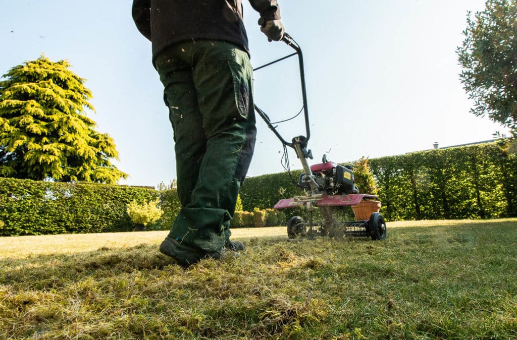 un jardinier en train de réaliser une scarification de pelouse