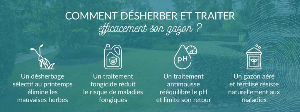 astuces pour désherber et traiter sa pelouse contre les maladies et mauvaises herbesé