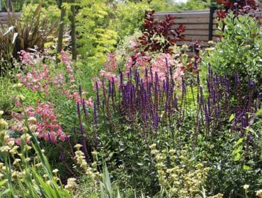 semis de printemps dans un jardin à Rennes