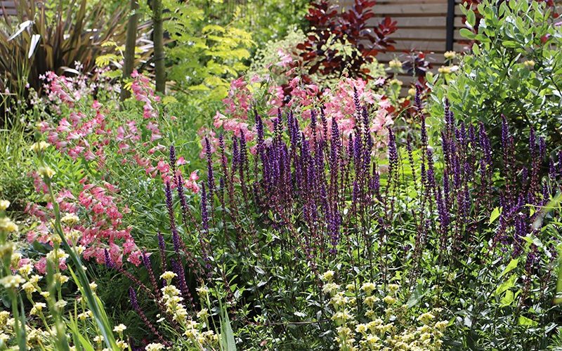 semis de printemps dans un jardin à Rennes