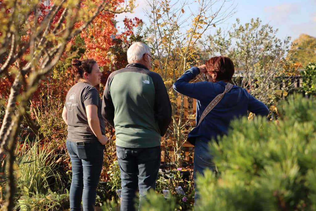 cours de jardinage paysagiste Rennes plantation arbustes massif