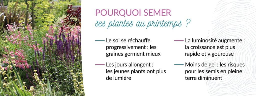 intérêts de semer au printemps