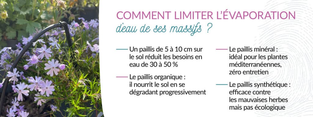 conseils pour limiter l'évaporation d’eau avec le paillage