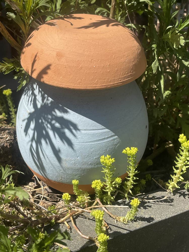 olla en terre cuite enterrée dans un massif de jardin en Ille-et-Vilaine