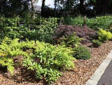 copeaux de bois paillage massif jardin durable Ille-et-Vilaine