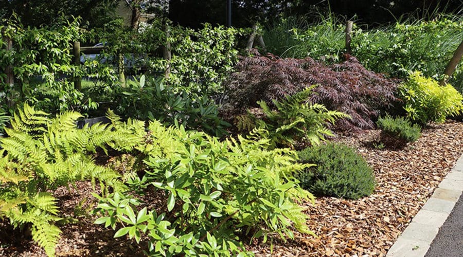 copeaux de bois paillage massif jardin durable Ille-et-Vilaine
