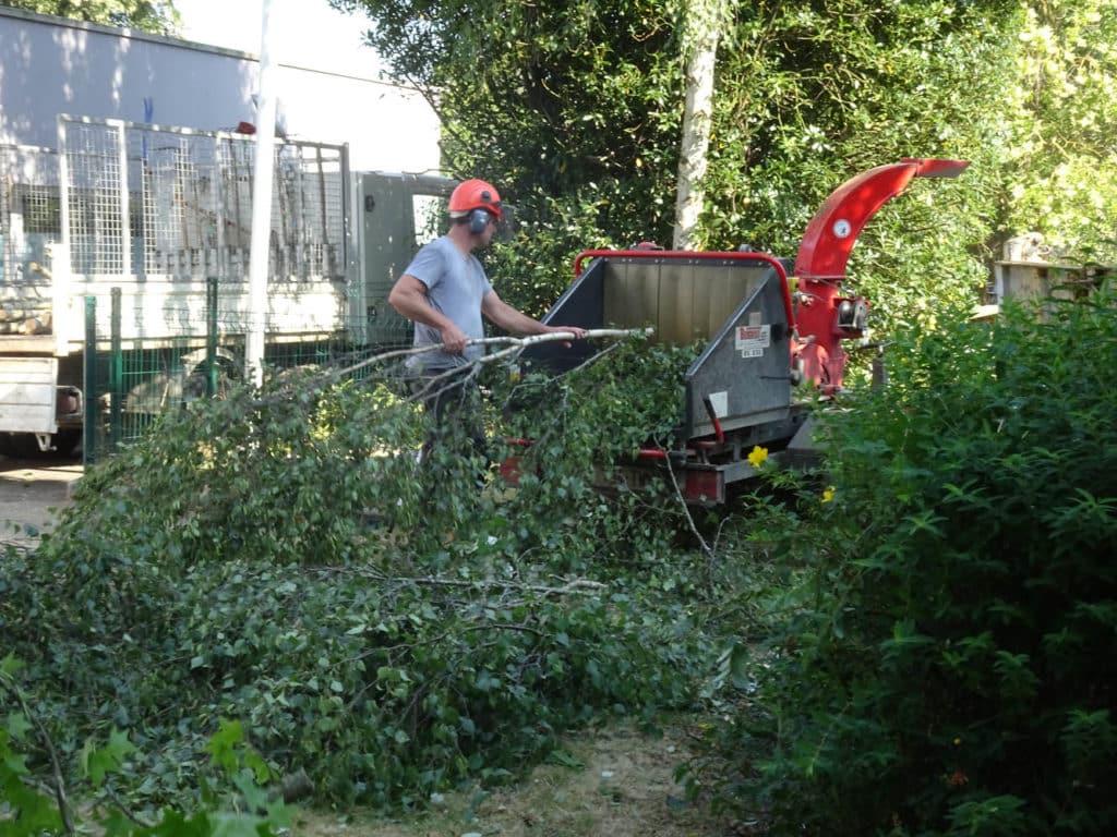 tonte mulching gazon recyclage sur place paysagiste Rennes