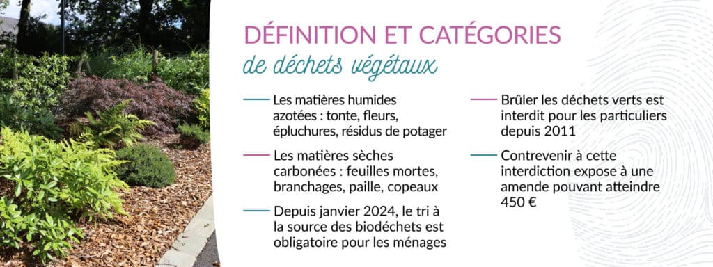 définition déchet vert différences déchets verts humides et déchets verts secs