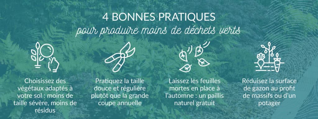 pratique pour réduire déchets végétaux au jardin
