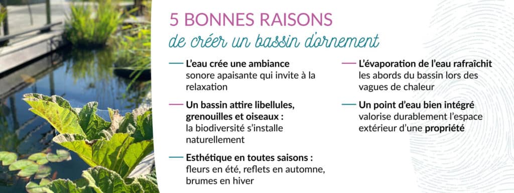 avantages créer bassin ornemental jardin biodiversité fraîcheur ambiance
