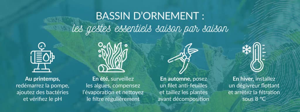 entretien bassin décoratif jardin selon la saison